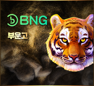 BNG 슬롯 게임사